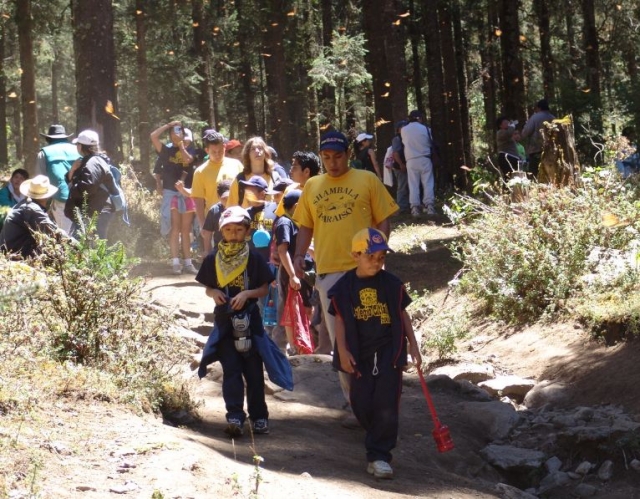 Senderismo por el bosque